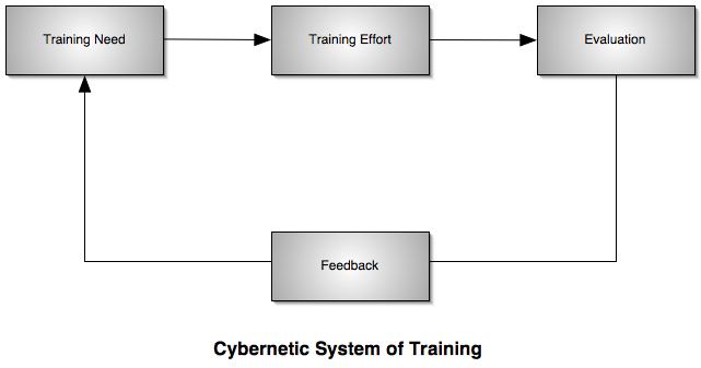 Cybernetic System of Training