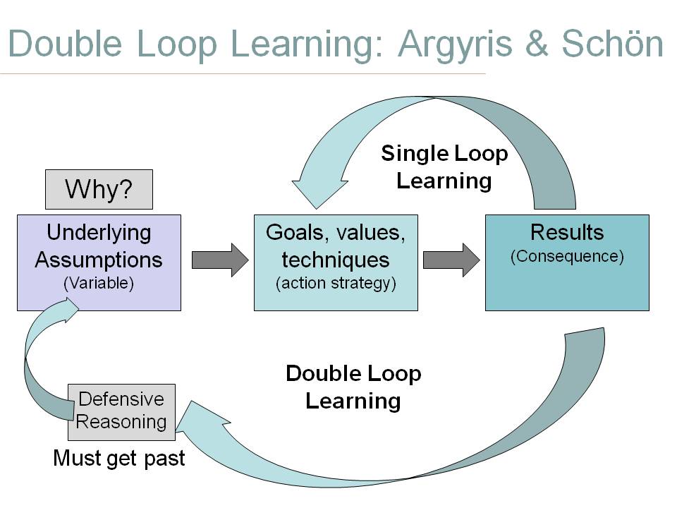 Double Loop Learning Examples