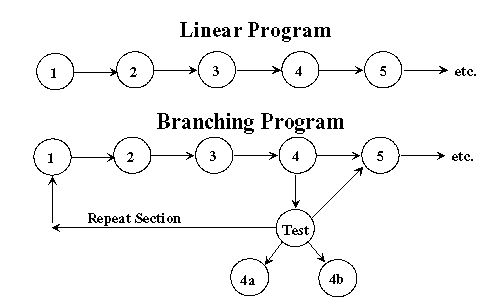 Branch and linear