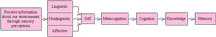 Self, Metacognition, Cognition, Knowledge Systems