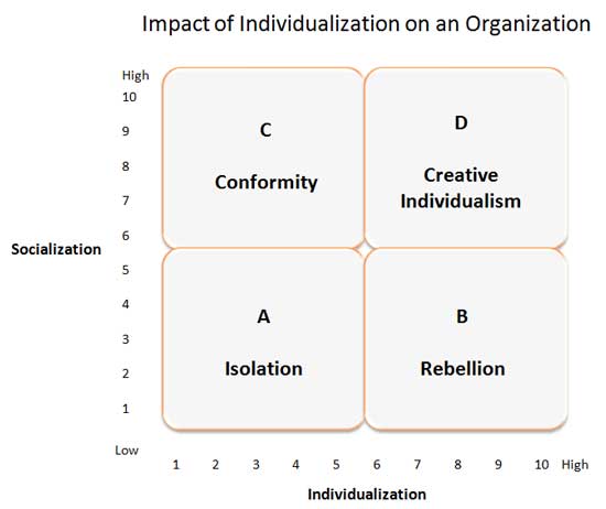 Impact of Individualization on an Organization