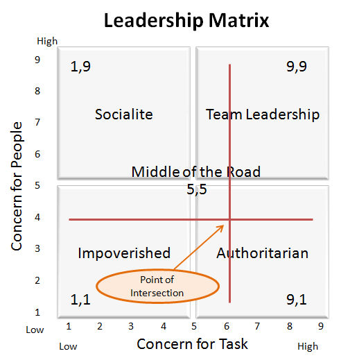 leadership Matrix Example